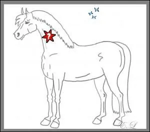 Quelle est cette partie du cheval ?