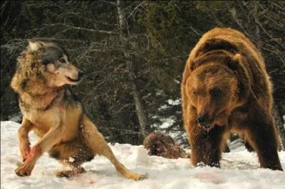 Trouvez la parodie d'une rime de La Fontaine !
