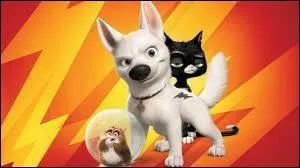 Dans "Volt", qui est Volt ?