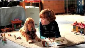 Dans le film "Boule et Bill", qui est Boule ?