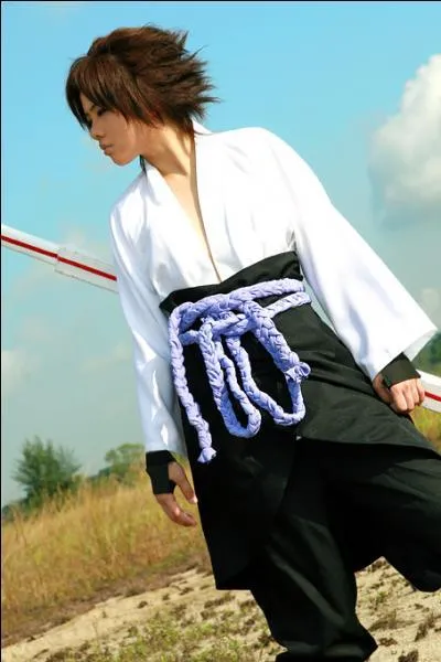 Qui représente ce cosplay ?