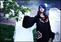 Qui représente ce cosplay ?