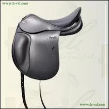 On peut imaginer que le cheval qui va porter cette selle va...