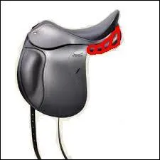 Quel est le nom de la partie en rouge ?