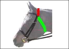 Comment s'appellent les parties rouges et vertes ?