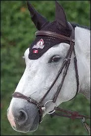 De quel type cette muserolle est-elle ?