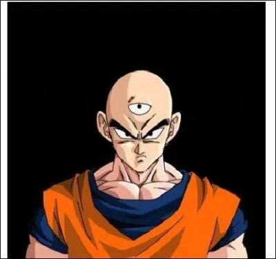 Quel personnage fan de Sangoku a voulu s'habiller comme lui ?