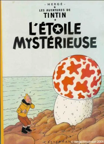 Il est le dixième album de bande dessinée des aventures de Tintin.Quelle erreur vous semble flagrante?