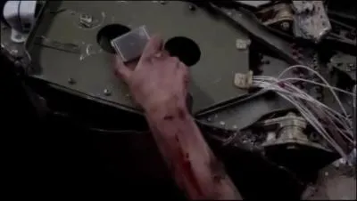 Dans le crash d'avion, il y avait...