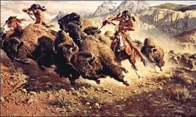 Ces animaux ont pratiquement disparu de ce pays !