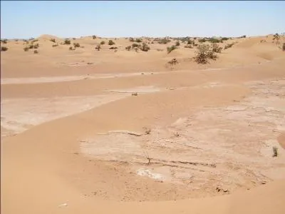 Dans quel désert humain cette photo a-t-elle été prise ?