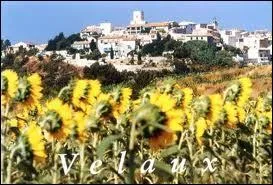 Derrières ce champs de tournesols, vous avez le village pacaïen de Velaux. Il se trouve dans le département ...