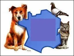 Quelle est la première association de protection animale créée en France ?