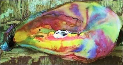 Où habitent les Lhuîtriens ?