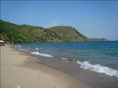 Quelle est cette mouche très présente dans cette région d'Afrique dont la piqûre peut transmettre la maladie du sommeil à la victime ?