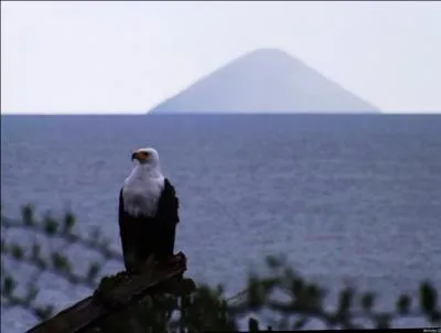 Le lac Victoria, gigantesque étendue d'eau douce à cheval sur le Kenya, l'Ouganda et la Tanzanie peut se targuer d'être...