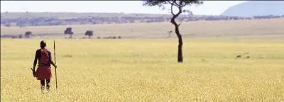 Sur quelle industrie l'essentiel de l'économie kenyanne repose-t-il ?