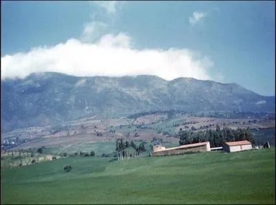 De quel pays la corne de l'Afrique fait-elle partie ?