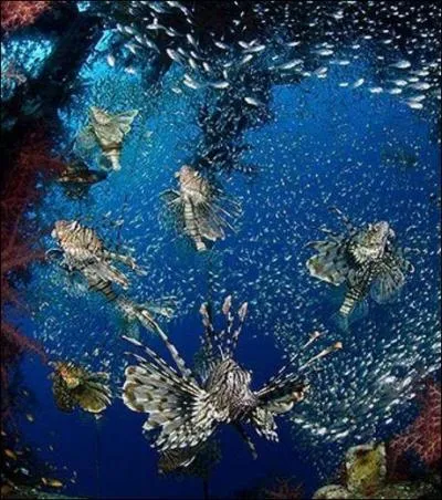 Quelle mer côtoie le Soudan et l'Érythrée ?