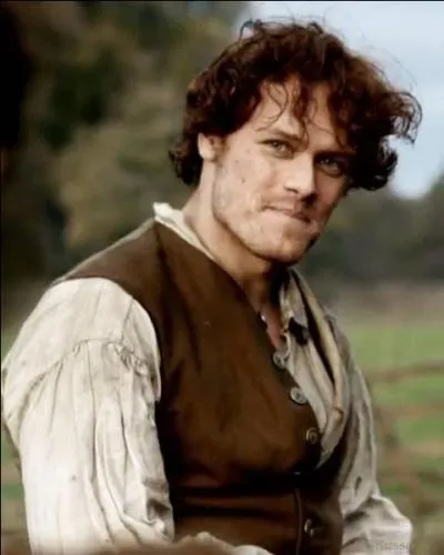 Qui incarne Jamie Fraser dans la saga télévisée diffusée l'été 2014 ?