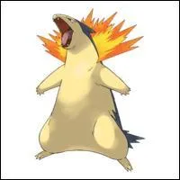 Typhlosion vous plaît-il ? Vous vous en moquez, vous attendez ce que je vais faire de ce personnage. Eh, bien, vous voyez qu'il a une collerette de feu. Il devient bouillonnant quand il est en colère comme un volcan en irruption !