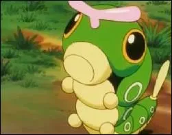 Celui-ci doit être un sacré malin, un peu "voyou" venu d'Allemagne, qui avance lentement et peut-être en ondulant comme la "chenille" de manière à pouvoir s'adapter malgré ses faiblesses physiques. En anglais, il est Caterpie.