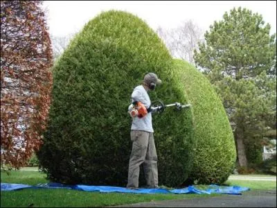 Comment traduire "un jardinier"?