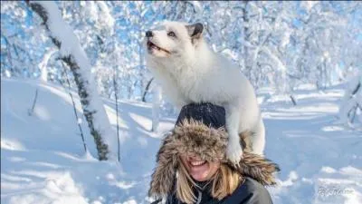 Lorsque l'hiver arrive, il devient blanc, dans quel pays peut-on le voir ?