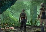 Quel est cet endroit ?