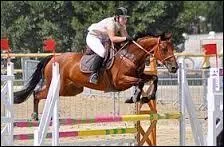 Quelles sont les phases du saut ?