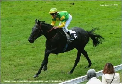 Comment partir du pas au galop sur le bon pied ?