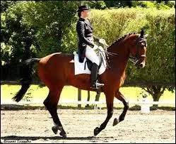 Mécanisme du galop à gauche :