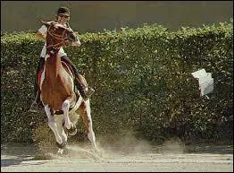 Que se passe-t-il sur la photo ci-contre ?