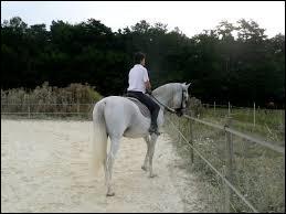Quiz Galop 4