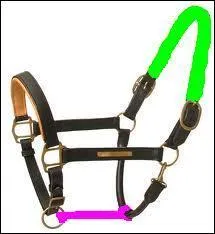 Quel est le nom de la partie rose ?