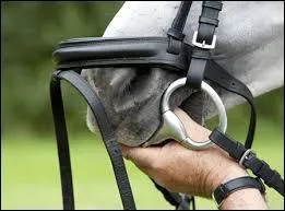 Comment ouvrir la bouche du cheval pour y glisser le mors ?