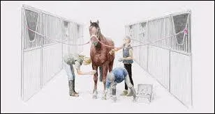 Laquelle de ces propositions est fausse ?