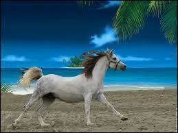 A quelle allure est ce cheval ?