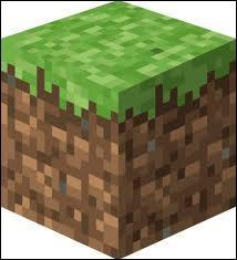Quiz Minecraft
