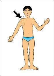 Une épaule, se dit en espagnol ...