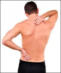 Le dos, se dit en espagnol ...