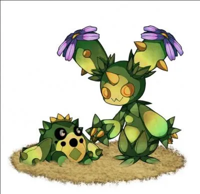 De quelle façon fait-on évoluer un Cacnéa en Maracachi ?