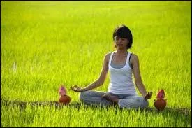 Je suis un loup bleu qui peut devenir très puissant si je me concentre bien. Qui suis-je?