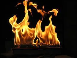 C'est un croisement entre un dragon et un lézard, il a une flamme au bout de sa queue. Qui est-il?