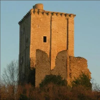 Lequel de ces personnages a failli acheter le château de Moncontour?