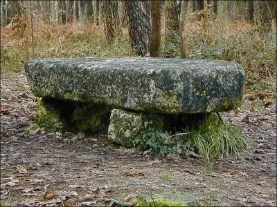 Dans quelle forêt de la Vienne serez-vous intrigué par cette pierre dite "La tombe à l'enfant"?