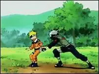 Quel est le nom de cette technique ?