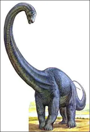 À qui vous fait penser ce diplodocus ?
