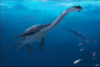 Où était répandu le Liopleurodon ?