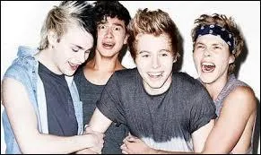 Les Five Seconds Of Summer ont été fondés en...